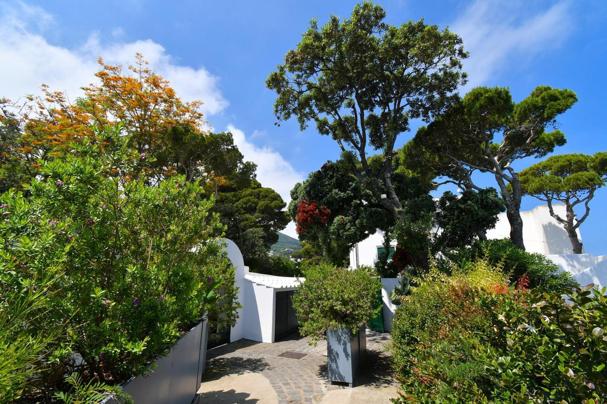 B&B Villa Lentisco Ischia Exterior foto